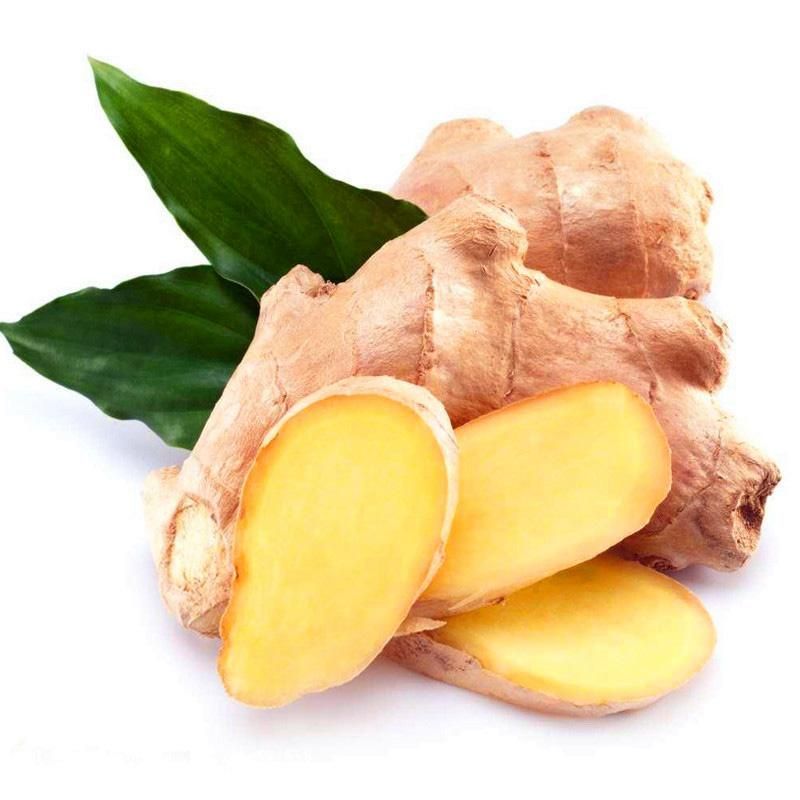 Ginger Seeds Balcony Vegetables Potted Bonsai Plant Seeds Four Seasons Plants-20Pcs seeds