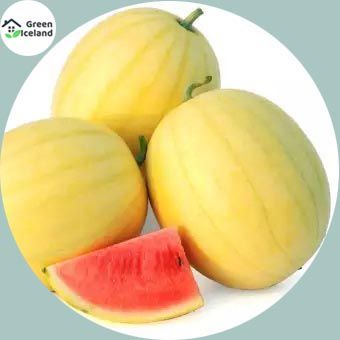 15 Pcs Natural Small Yellow watermelon Bonsai Seeds