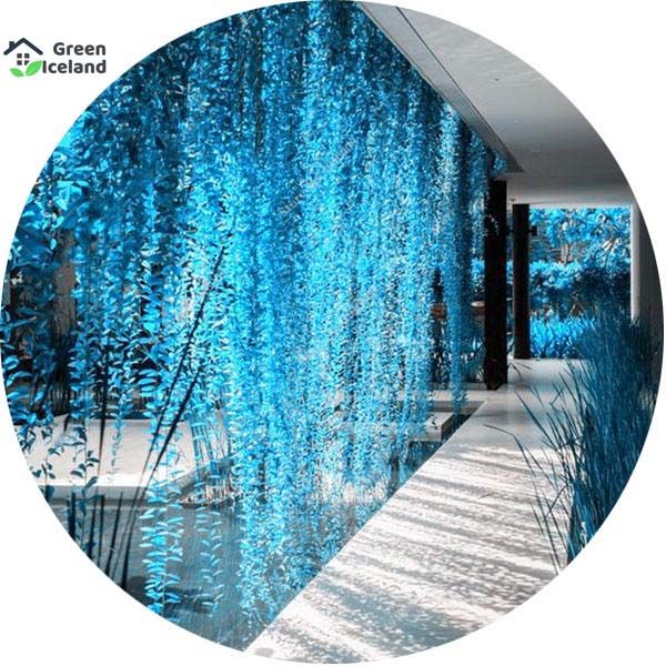 Natural Blue Pearl Chlorophytum Bonsai Seeds - 10 Pcs Seeds