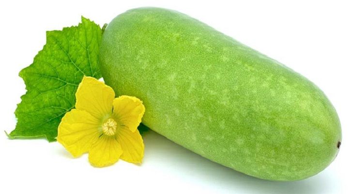 Chalkumra / Wax Gourd Seeds (Seeds) - 50 Pcs Seeds