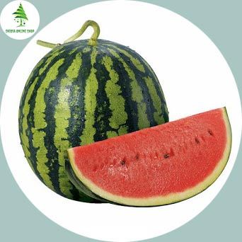 15 Pcs All Season Delicious Watermelon Seeds