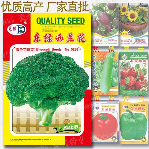 Green Broccoli Seeds Intake Packet - 100+pcs ইনটেক প্যাকেট বীজ (China Global Seeds)