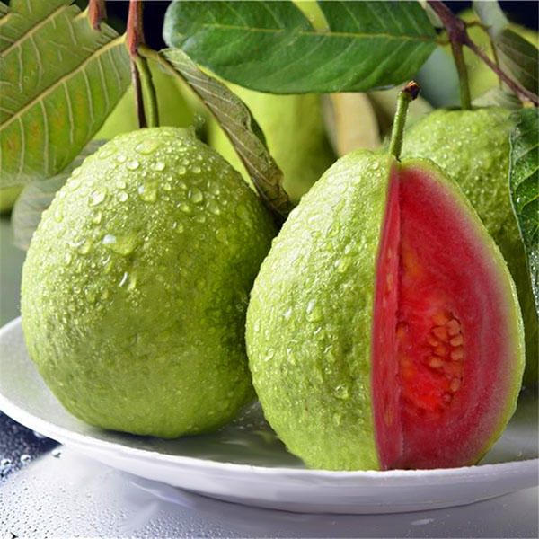 5 পিস পেয়ারা বীজ গ্রীষ্মকালের মিষ্টি ফলের গাছের গাছের বীজ বাগানের বারান্দার উঠোনের জন্য