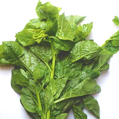 Puishak Mota Data Seeds- 10 Pcs seeds ???????? ???????