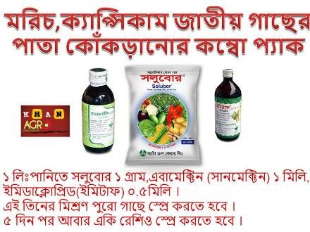 মরিচ,ক্যাপ্সিকাম জাতীয় গাছের পাতা কোঁকড়ানোর কম্বো প্যাক (সলুবোরন+এবামেক্টিন+ইমিডাক্লোপ্রিড)