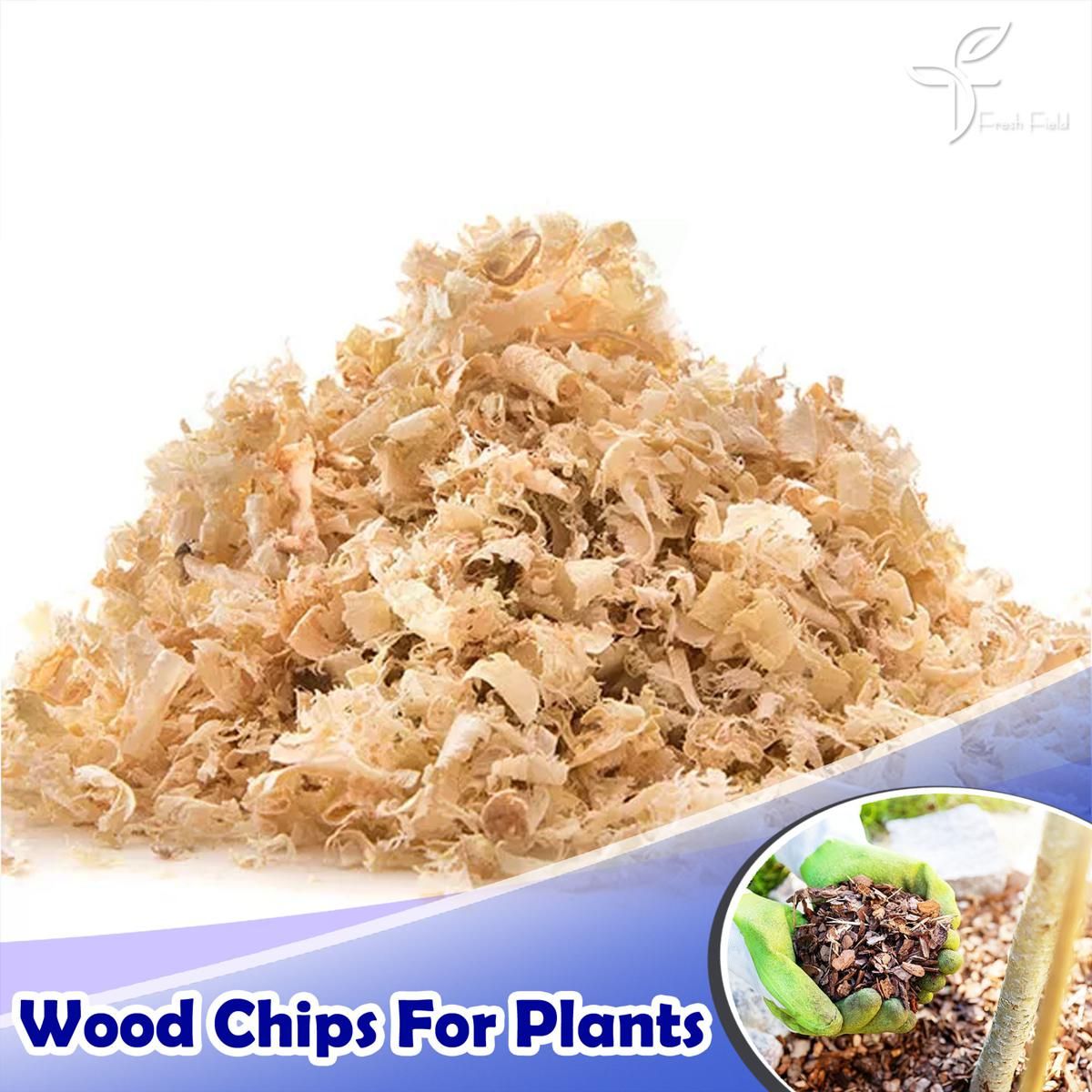 Wood Chips (For Plant Mulching) - 500 gm