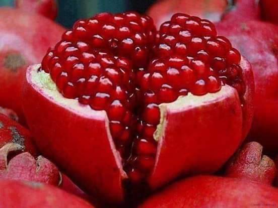 Pomegranate Bonsai Seeds (Seeds)- 20 Pcs Seeds