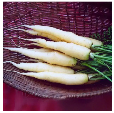 Colorful Carrot Seeds Healthy Vegetable Plant Seed (বীজ)