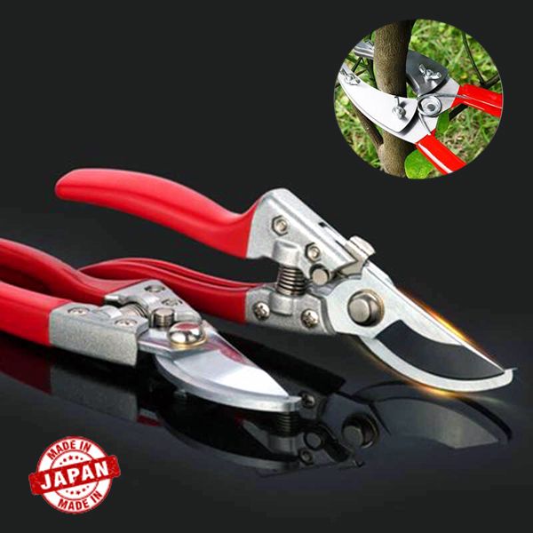 Professional 8 Inch Garden tree cutter/ Fruit tree pruning shears/ Bonsai pruners gafling cutter (Red & white)