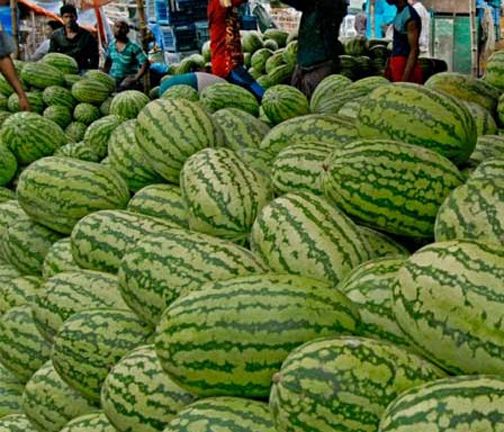 SUGAR BABY WATERMELON Fruit Seeds Garden Decoration Seeds -10pcs