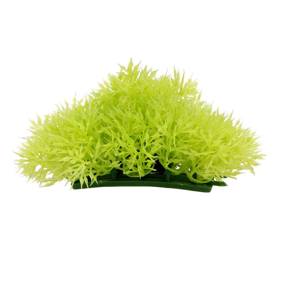 Aquatic Fish Tank   Viewing Pine Needles With Base Small Grass
