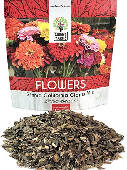 Zinniawonder Flower California Seeds -20Pcs (Global Seeds)