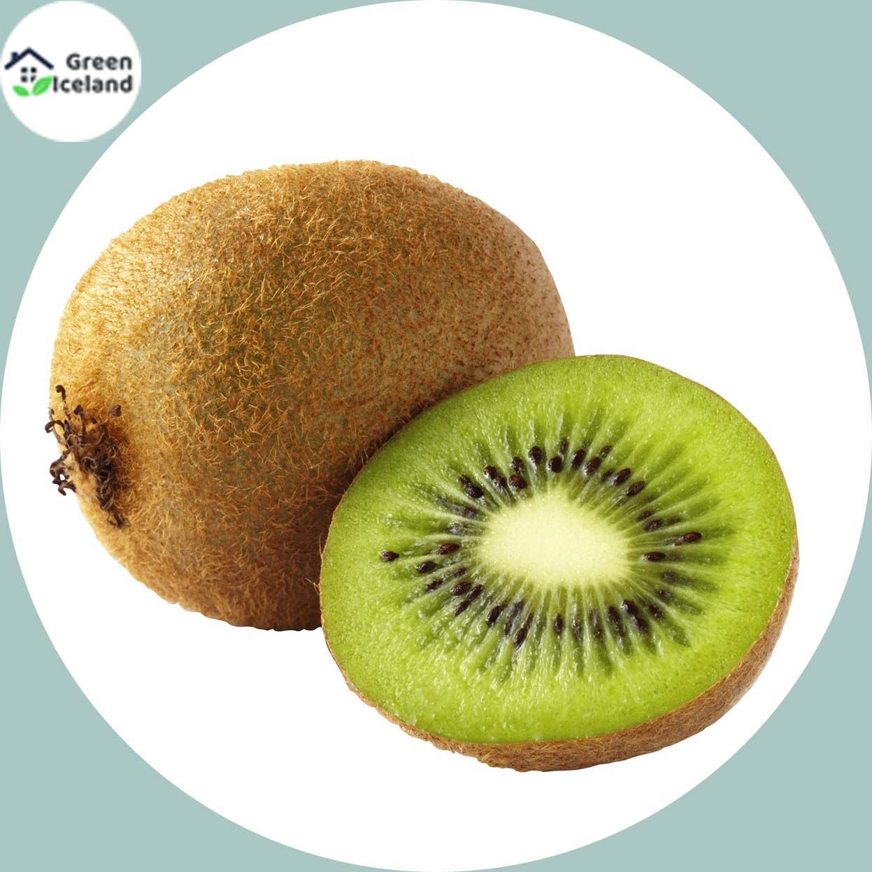 Organic Thailand Mini Kiwi Fruit Bonsai Seeds - 50 Pcs Seeds