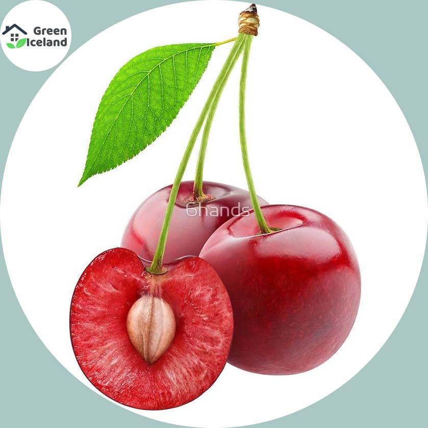 5 Pcs Natural Sweet Japan Cherry Plant Seeds
