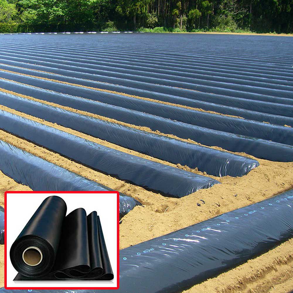 Mulching Paper (Wide-4 ft, long- 100 ft)   Black/Silver 25 Micron Mulching Paper Price in Bangladesh