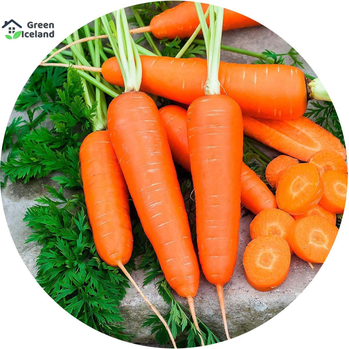 All Season Carrot Seeds  - 100 Pcs Seeds