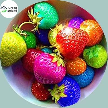 Global Mix Strawberry Seeds - 30 Pcs Seeds