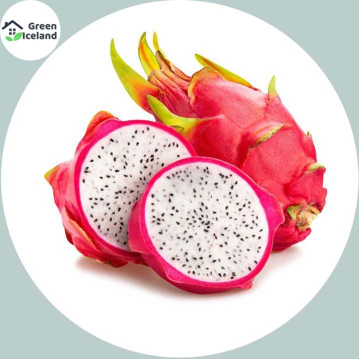 Dragon Pitaya Fruit Seeds - 20 Pcs Seeds