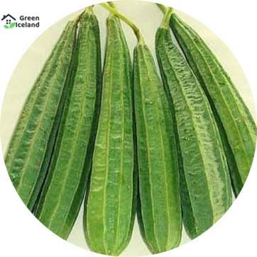 20 Pcs Organic Jhinga / Shrimp Seeds (????? ???)
