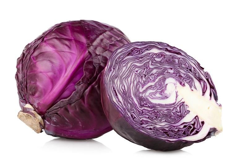 Durable Red Cabbage Seed - 20 pcs