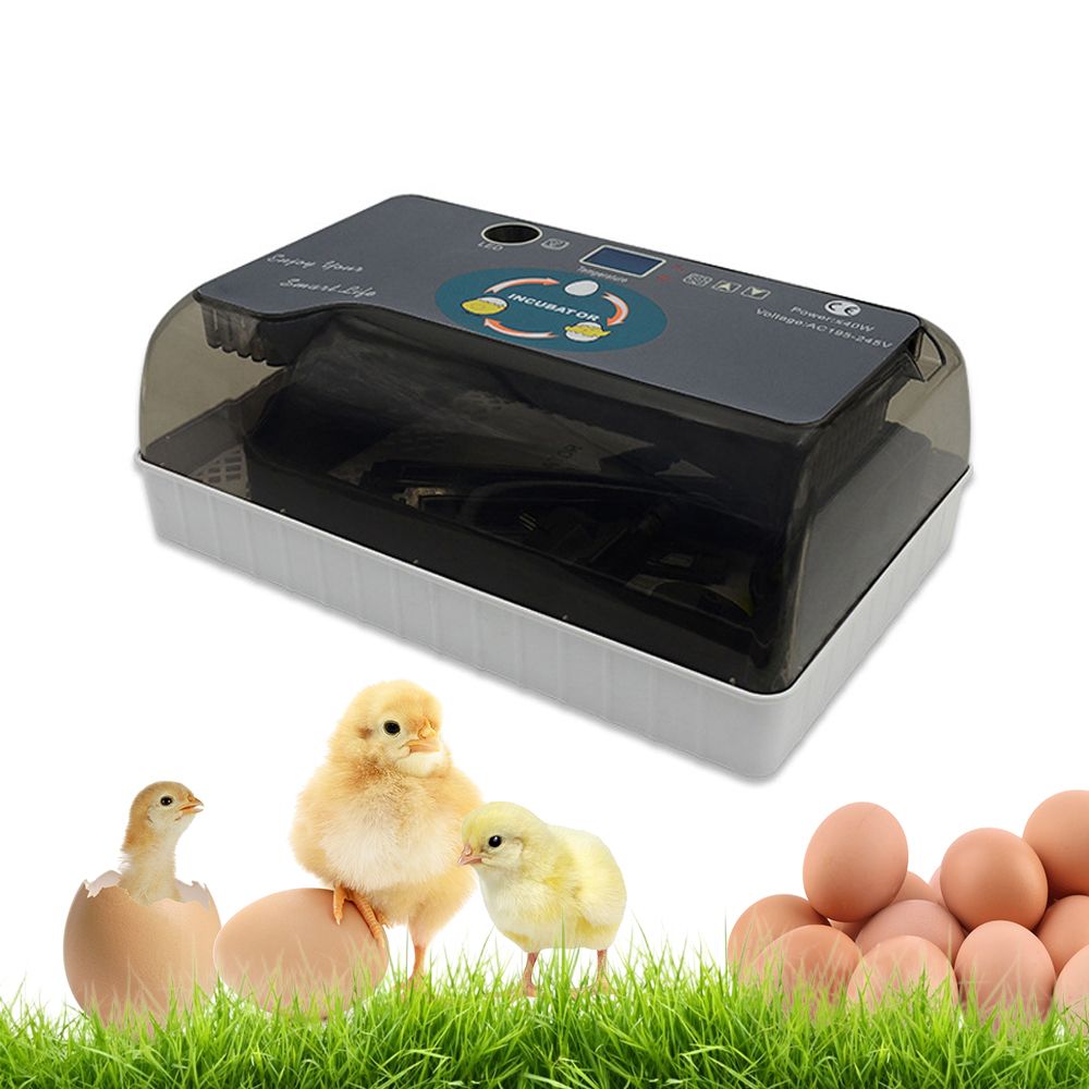 Household Incubator Full Automatic Eggs Turner Eggs Brooder with L-ED Testing Function