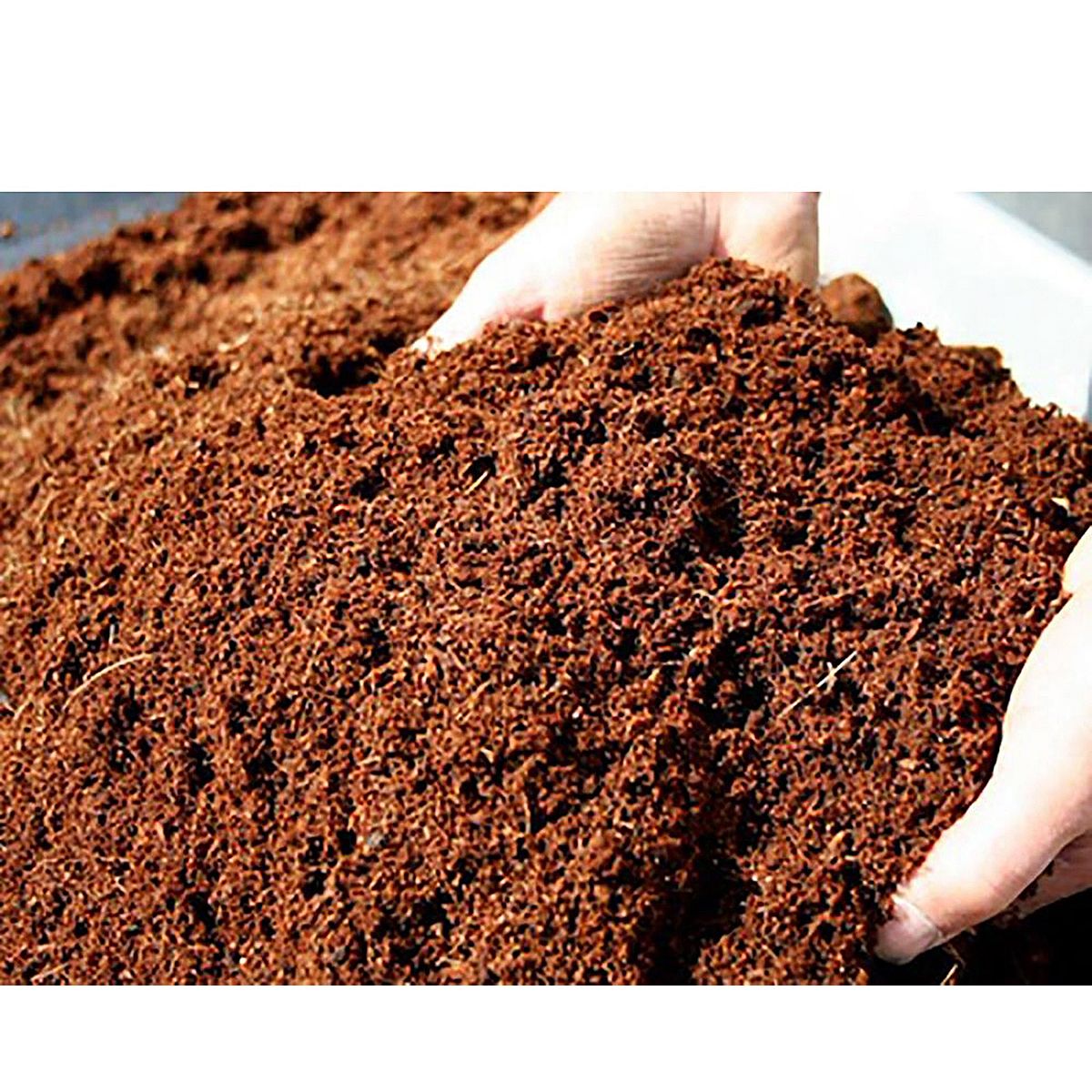 Natural Coco Peat for Gardening - 2kg