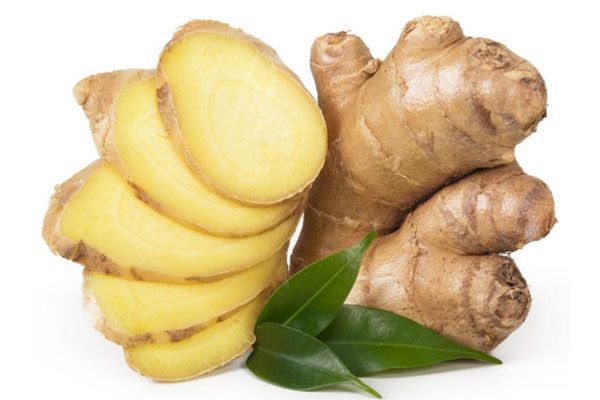 Imported Organic Ginger Seeds (seeds) - 20 Pcs Seeds