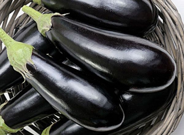 20 pieces Eggplant Seeds-(বেগুন20 টি বীজ)