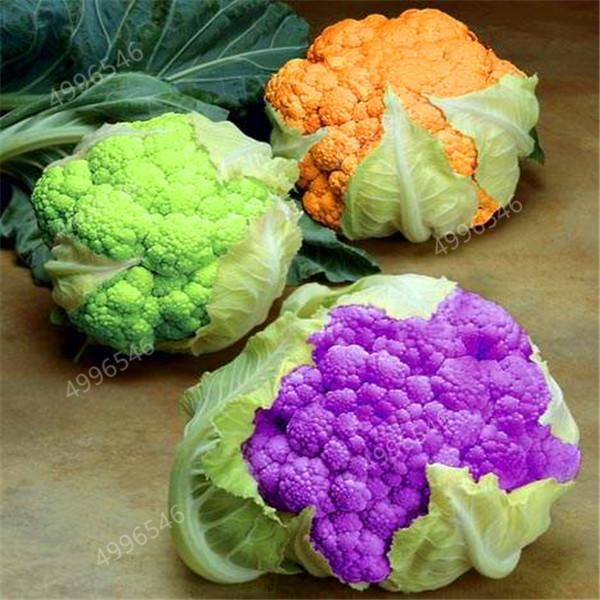 100 pcs Rare Organic Romanesco Tower Broccoli Bonsai, Roman Cauliflower Fractal Heads Broccoflower Vegetables DIY Home & Garden