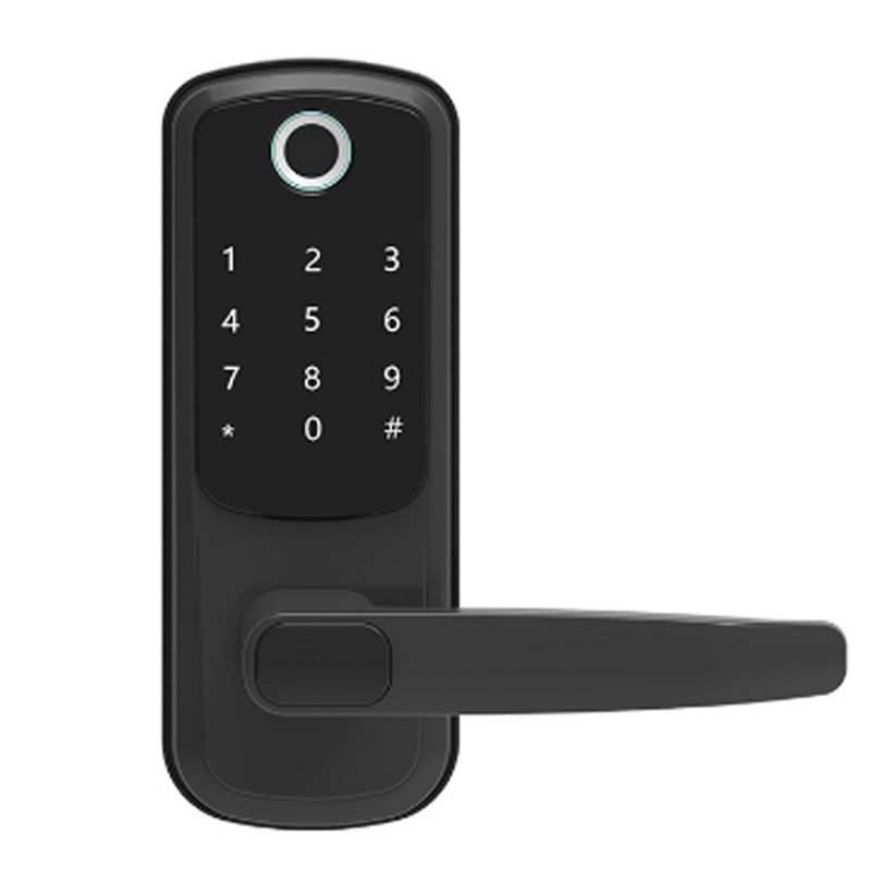 WAFU Tuya Fingerprint Smart Lock TTLOCK Temporary Pas Lock Wifi Electronic Swipe Smart Spherical Lock