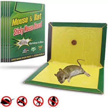 Mouse Rat & Mice Catcher Sticky Glue Board Small Size 01 pc