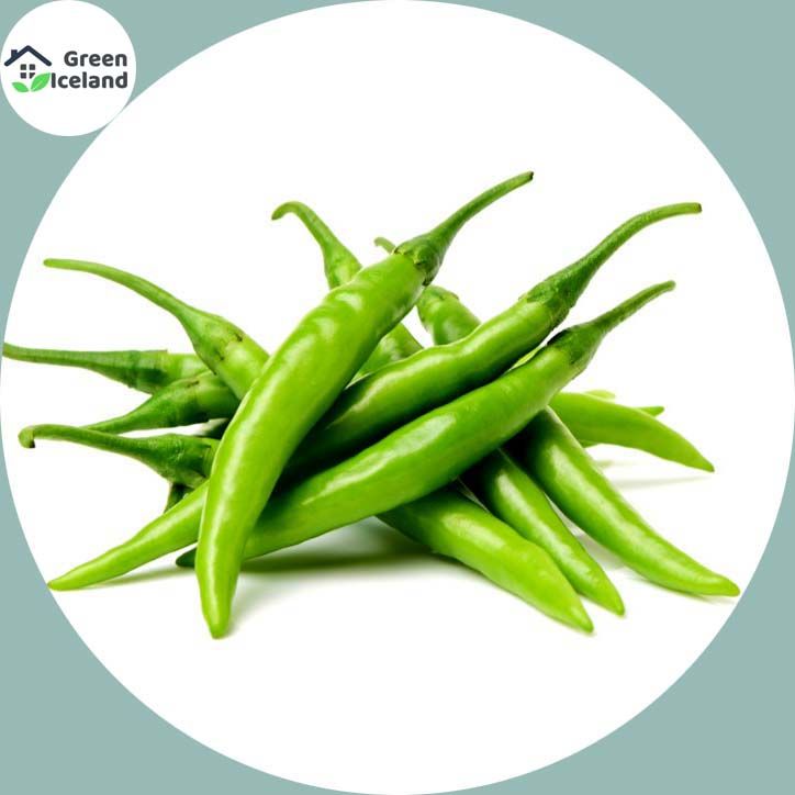 Global Long Spicy Green Chili Seeds (???? ???) - 20 Pcs Seeds