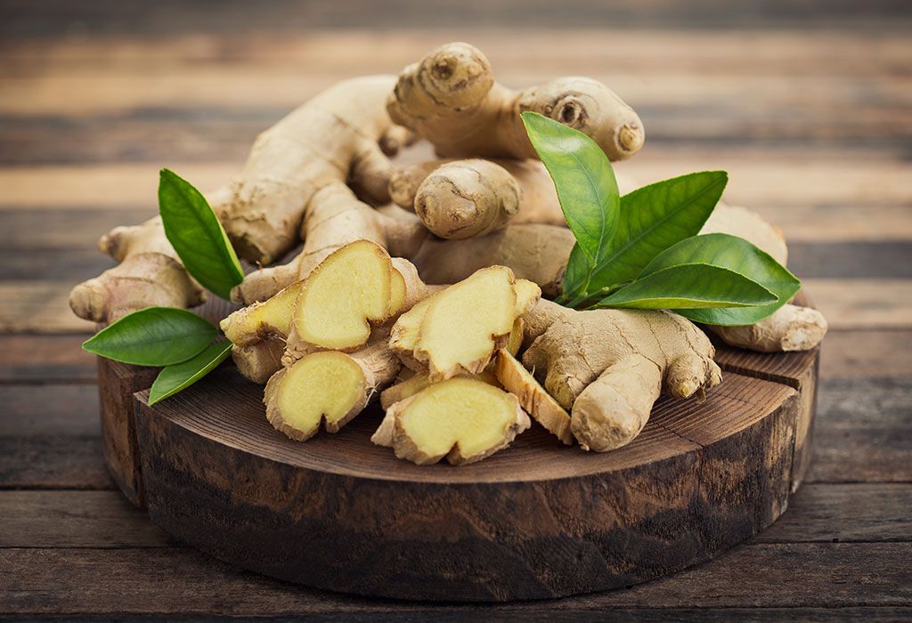 Global Ginger Seeds(Seeds) - 20 Pcs Seeds