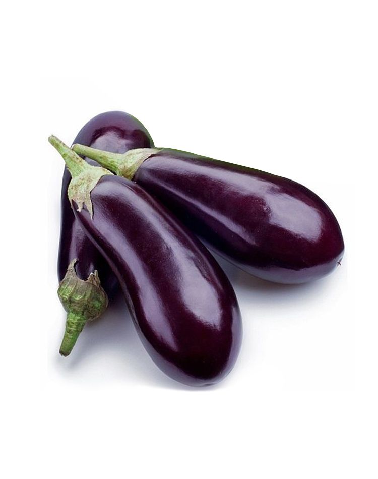 Global Long Brinjal Seeds (Seeds) - 10 Pcs Seeds
