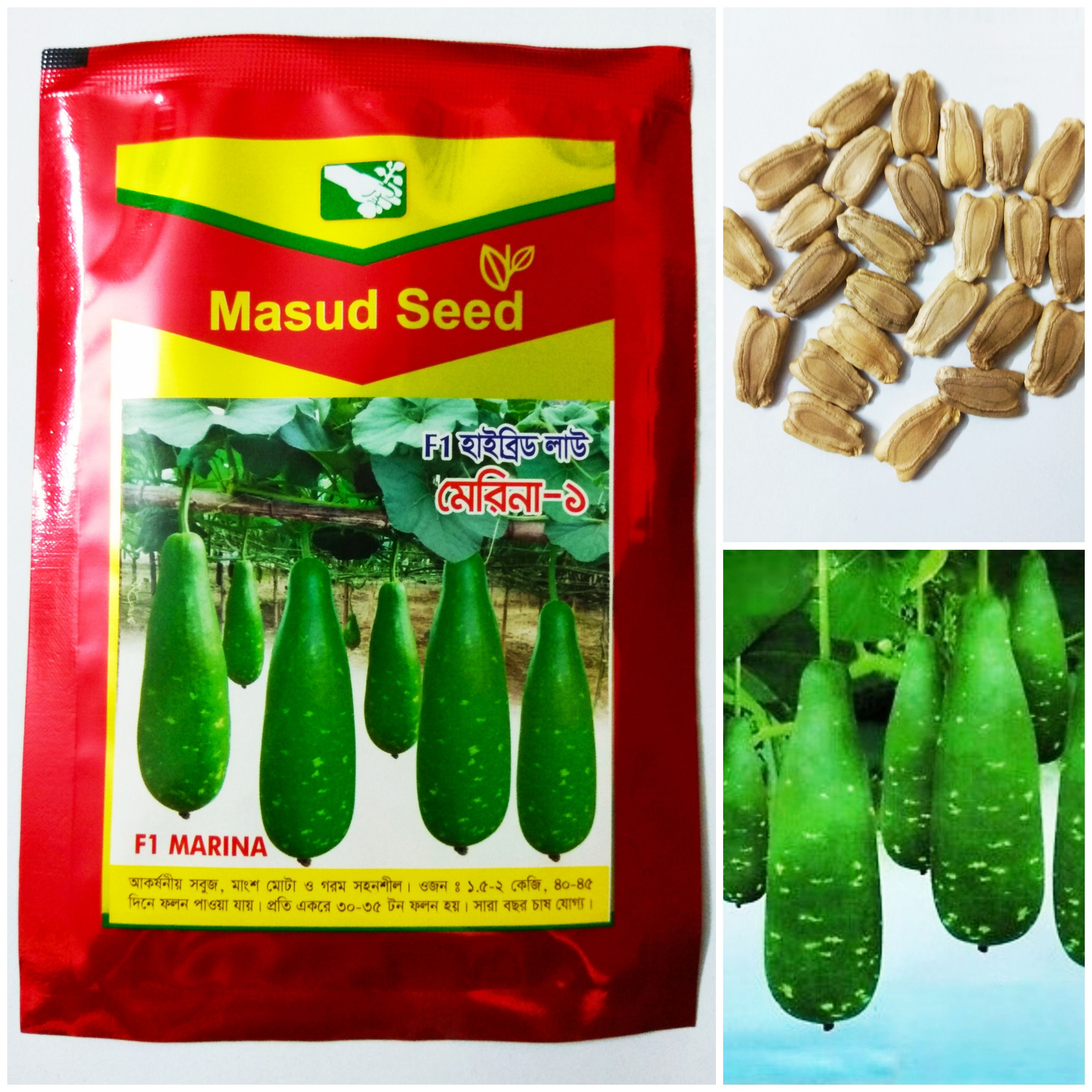 F1 HYBRID BOTTLE GOURD SEEDS, INTAKE PACKET - 25 SEEDS