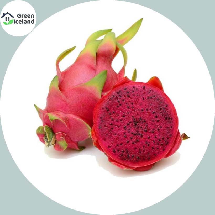 Organic Dragon Pitaya Fruit Seeds - 20 Pcs Seeds