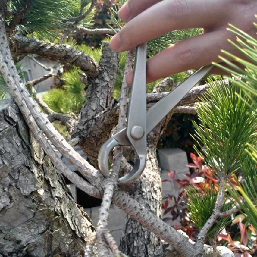 180mm Stainless Steel Knob Cutter Ball S ar La cape Modeling Garden Bonsai Tools