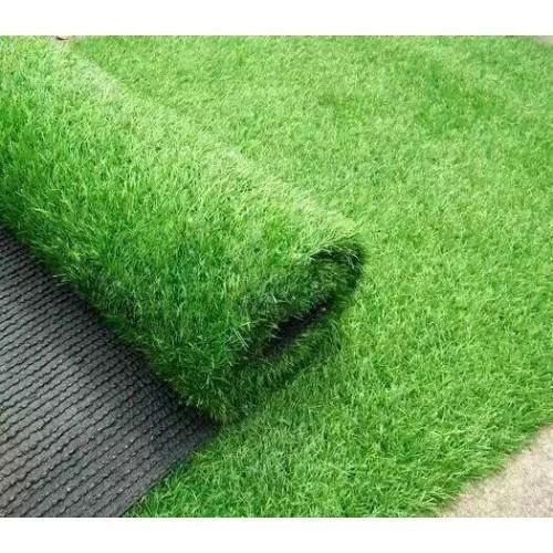 Lawn Grass Seeds (Seeds) - 200+ Pcs Seeds