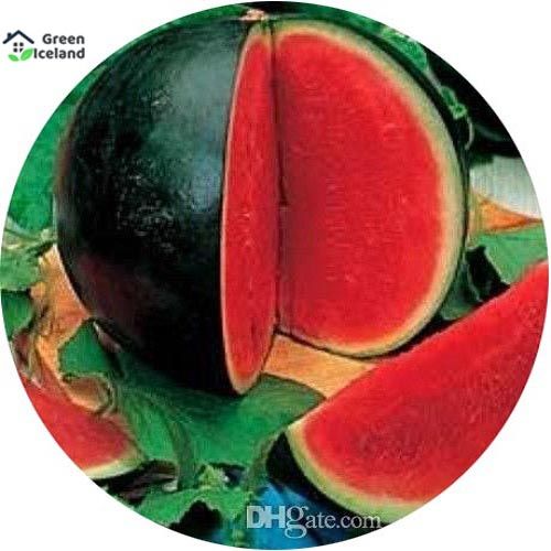 Organic Watermelon Seeds (তরমুজ বীজ) - 10 Pcs Seeds