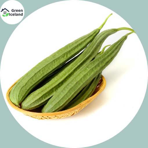 Jhinga / Shrimp Seeds (ঝিংগা বীজ) - 20 Pcs Seeds
