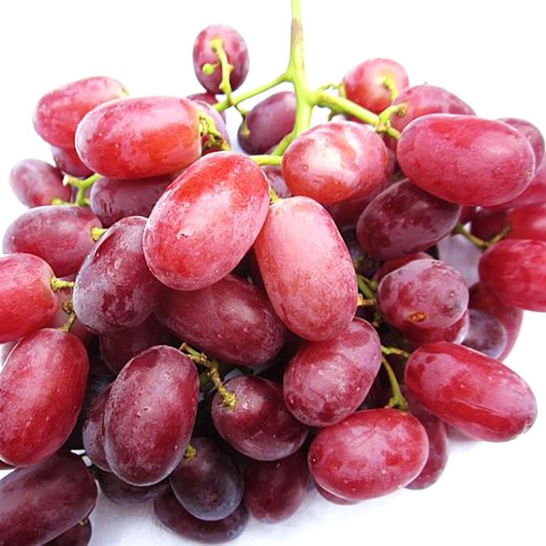 Global Sweet Red Grape Seeds (Seeds) -20 Pcs Seeds