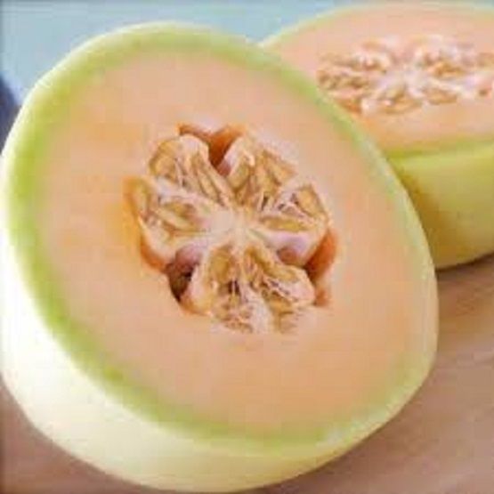 Cantaloupe Honey Melon seeds Dew Green Flesh Great Heirloom Vegetable-5 Pcs Seeds
