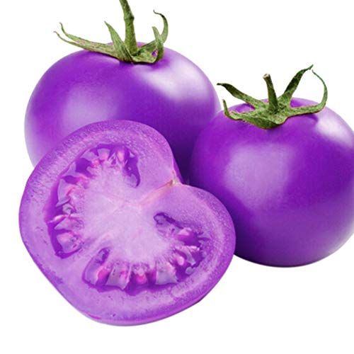 Rainbow Tomato Bonsai Seeds - 20 Pcs Seeds