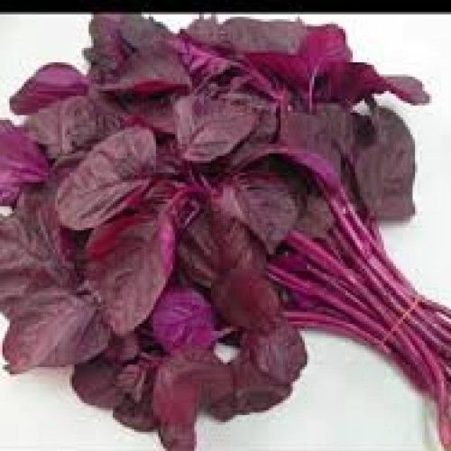 10gram - Lal Shak Seeds (লাল শাক বীজ)