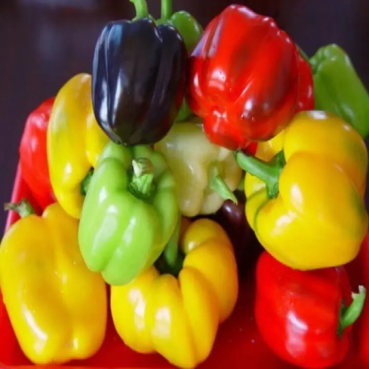 10Pcs Capsicum Seeds