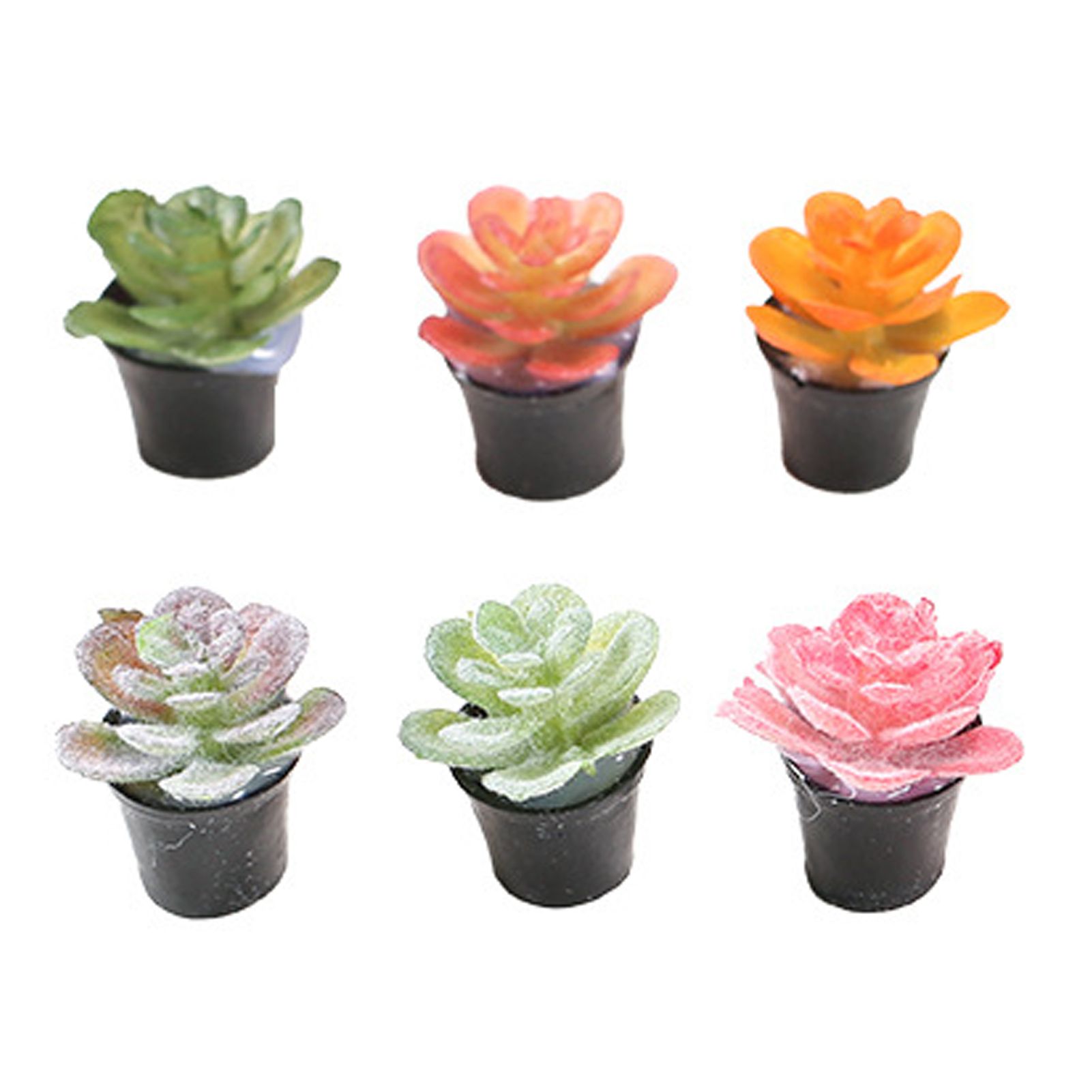 ECHIDNA Fake Succulent Bendable Portable Realistic Simulation Artificial Bonsai