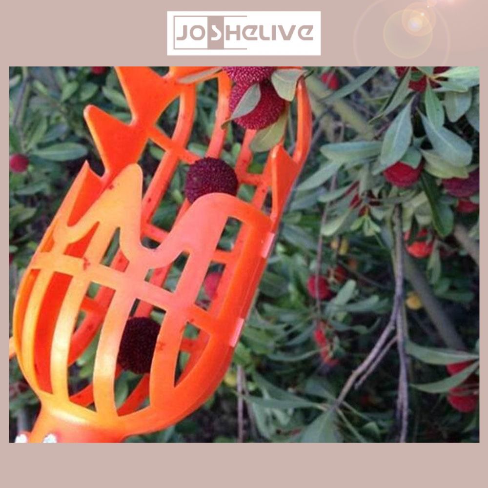 Plastic Fruit Picker Catcher Fruit Picking Tool Gardening Farm Garden Hardware Picking Device Garden Greenhouses Tool with nice material