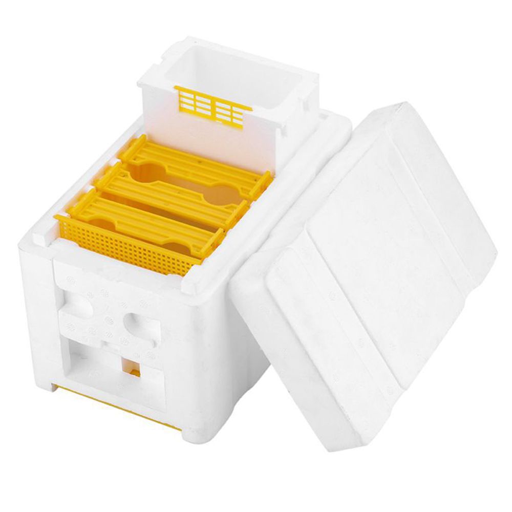 Bee Hive Beekeeping King Box Pollination Box Foam Frames Beekeeping Tool Kit