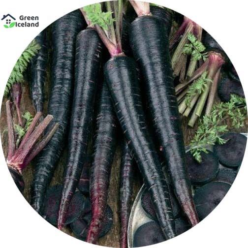 All Season Black Carrot Seeds (কালো গাজর বীজ) - 50 Pcs Seeds