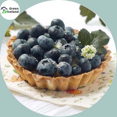 5 Pcs Global Blueberry Fruit Bonsai Tree Seeds